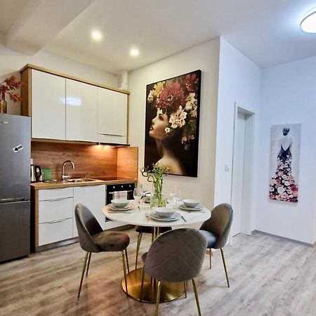 Ljubljana Central Cozy Apartment W Free Parking Εξωτερικό φωτογραφία