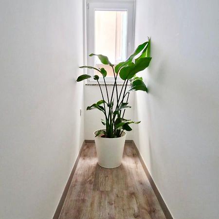 Ljubljana Central Cozy Apartment W Free Parking Εξωτερικό φωτογραφία