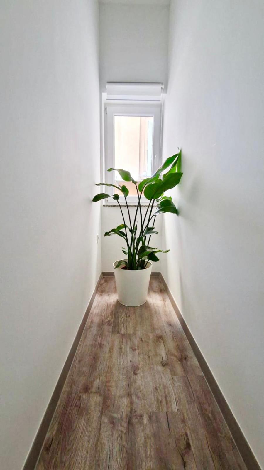 Ljubljana Central Cozy Apartment W Free Parking Εξωτερικό φωτογραφία